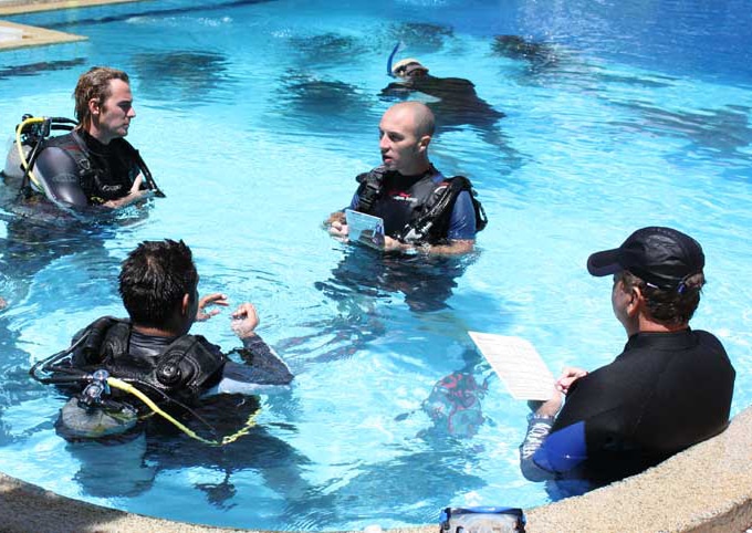 Image result for padi idc