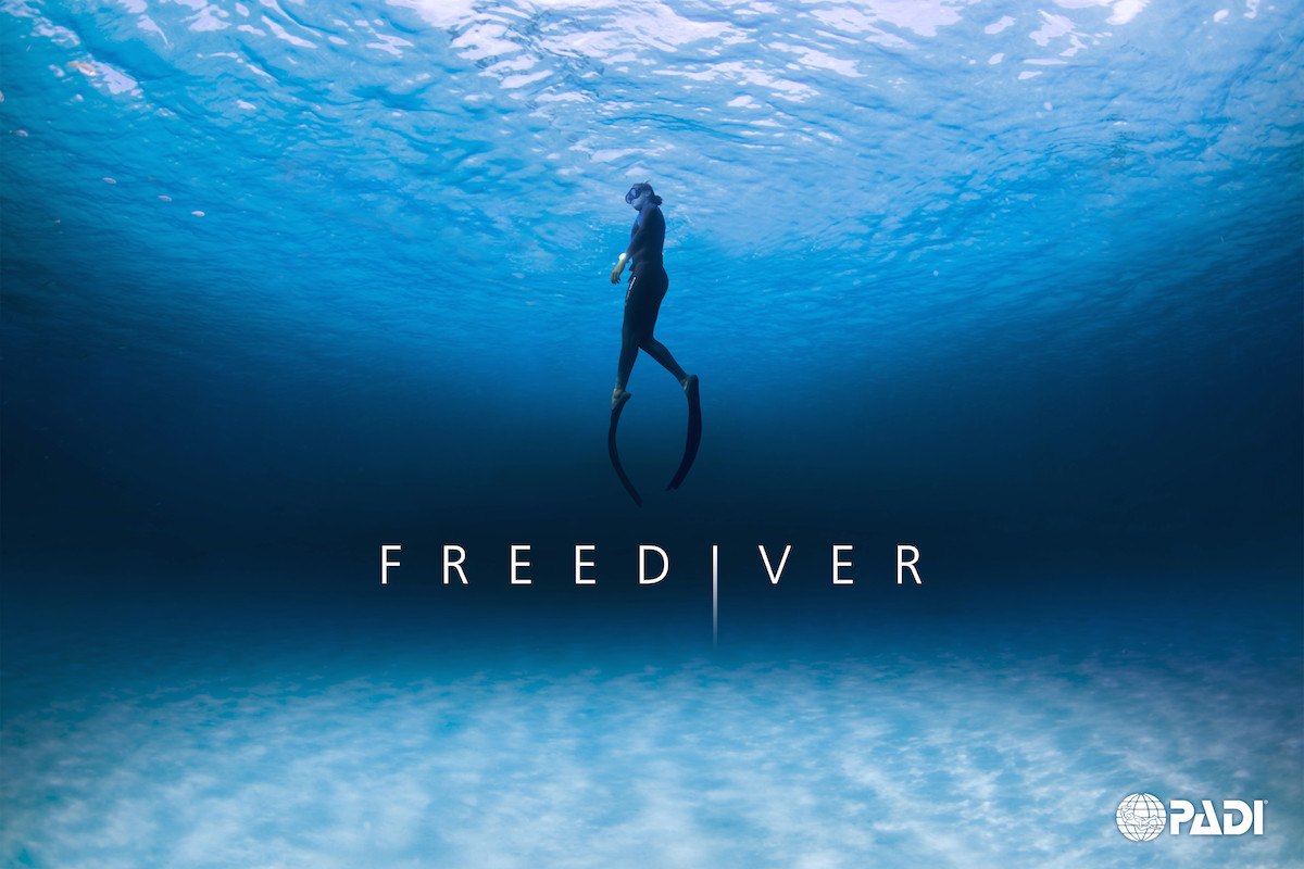 Image result for You Can Enjoy a Free Dive by Freediving Courses